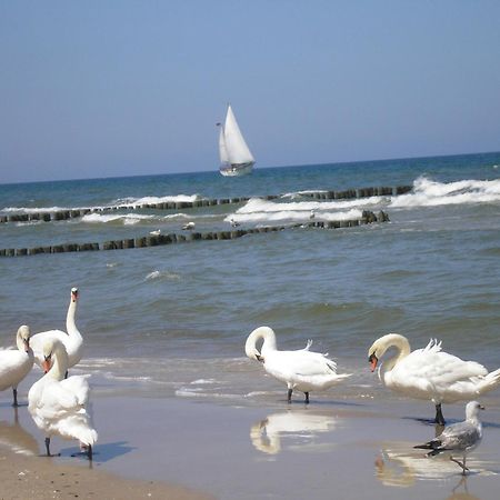 Pensjonat Koga Kołobrzeg Εξωτερικό φωτογραφία